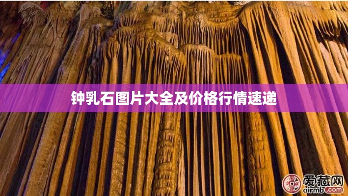 贵不期骄 第2页