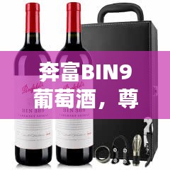 奔富BIN9葡萄酒,尊贵价值,价格揭秘