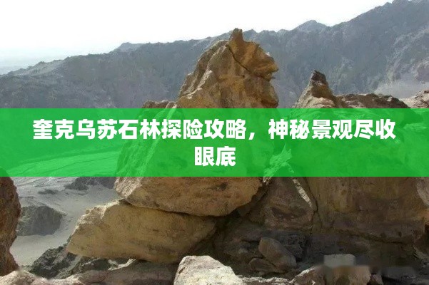 奎克乌苏石林探险攻略,神秘景观尽收眼底