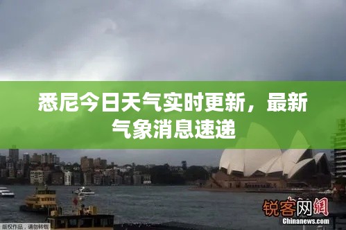 鸟云之阵 第3页