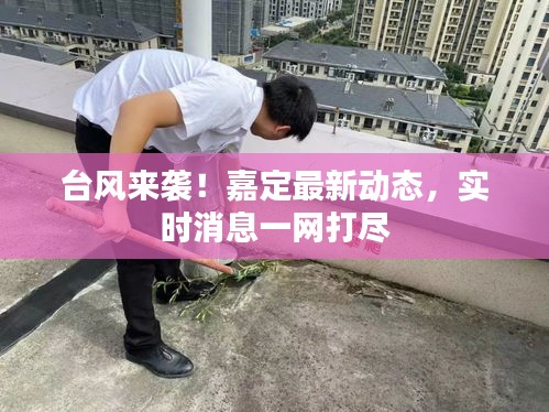 台风来袭!嘉定最新动态,实时消息一网打尽