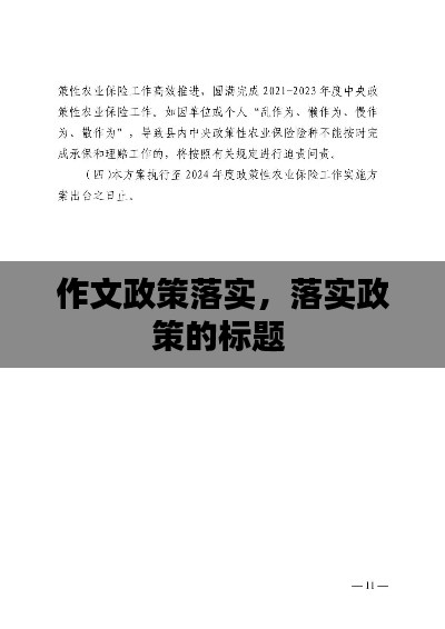 作文政策落实,落实政策的标题