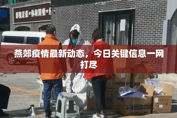 燕郊疫情最新动态,今日关键信息一网打尽