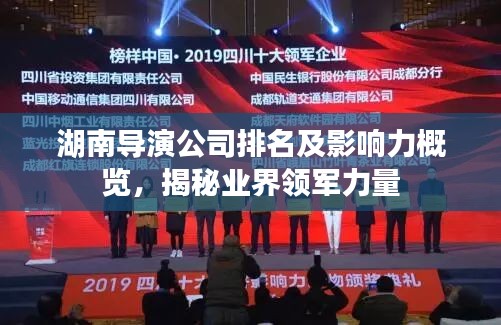 湖南导演公司排名及影响力概览,揭秘业界领军力量