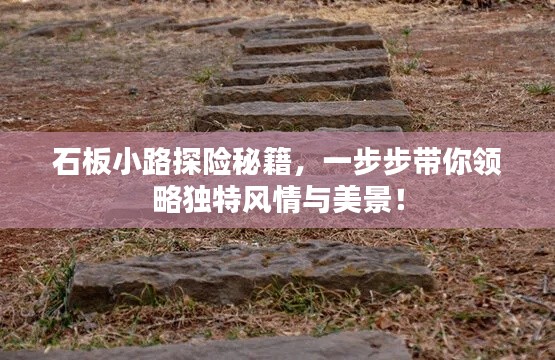 石板小路探险秘籍，一步步带你领略独特风情与美景！