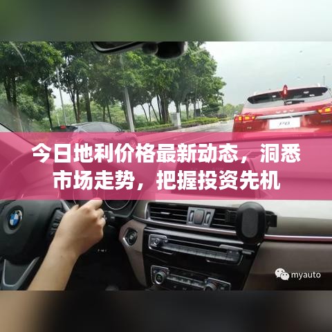 今日地利价格最新动态,洞悉市场走势,把握投资先机