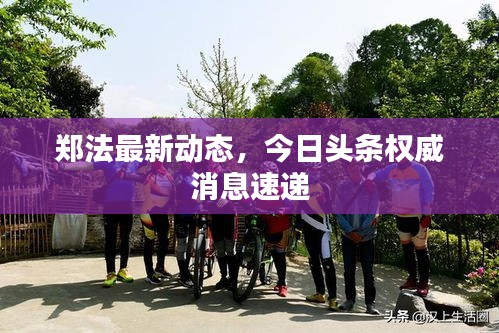 郑法最新动态,今日头条权威消息速递