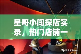 星哥小闯探店实录,热门店铺一网打尽,最新视频大全全攻略!
