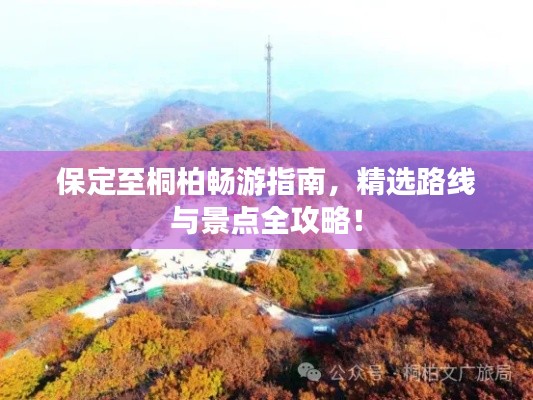 保定至桐柏畅游指南,精选路线与景点全攻略!