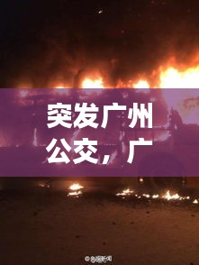 突发广州公交，广州公交车新闻 