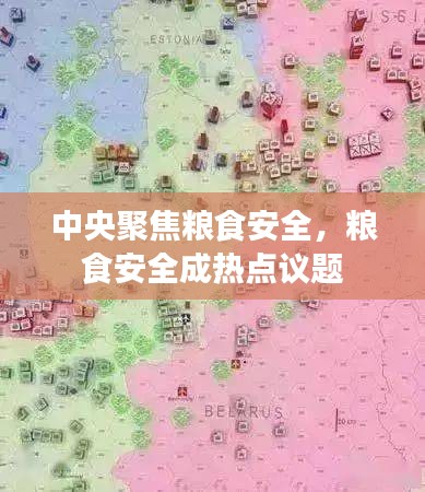 中央聚焦粮食安全,粮食安全成热点议题