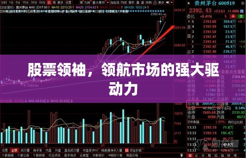 股票领袖,领航市场的强大驱动力