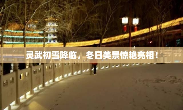 灵武初雪降临,冬日美景惊艳亮相!