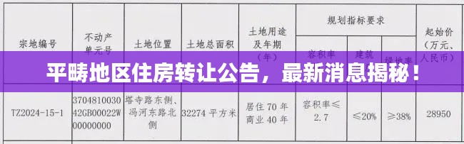 平畴地区住房转让公告,最新消息揭秘!