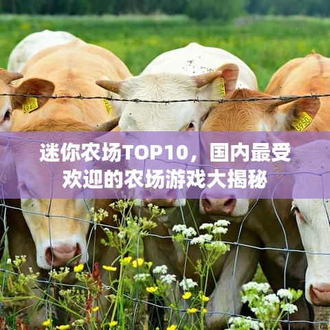 迷你农场TOP10，国内最受欢迎的农场游戏大揭秘