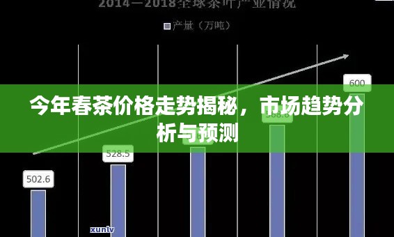 今年春茶价格走势揭秘,市场趋势分析与预测