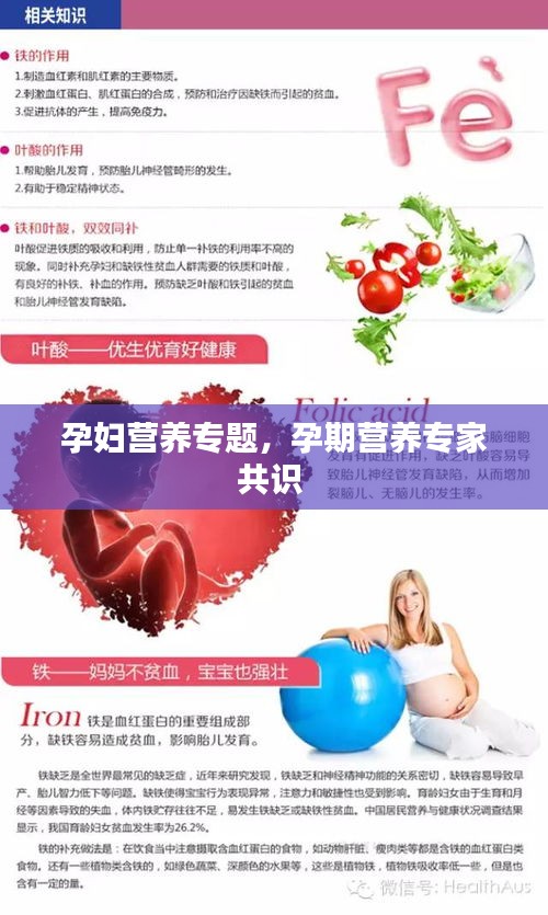 孕妇营养专题,孕期营养专家共识