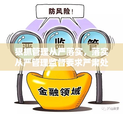 狠抓管理从严落实,落实从严管理监督要求严肃处理什么