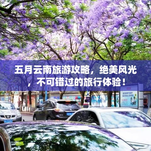 真独简贵 第2页