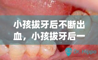 走马章台 第2页