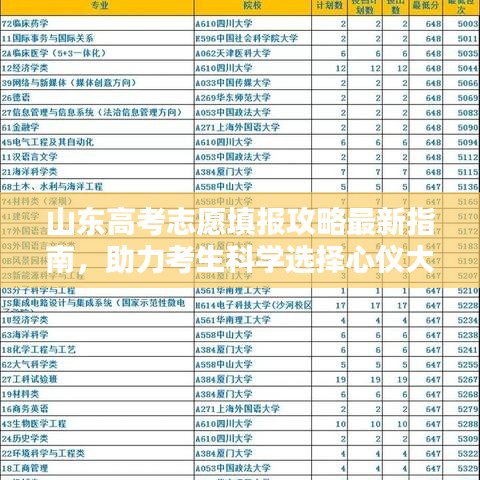 山东高考志愿填报攻略最新指南,助力考生科学选择心仪大学和专业