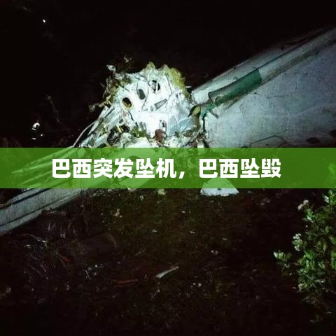 从容就义 第2页