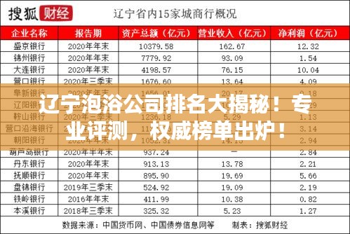 辽宁泡浴公司排名大揭秘!专业评测,权威榜单出炉!