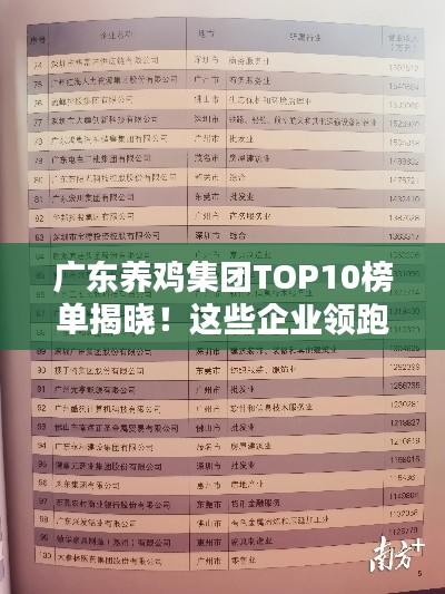 广东养鸡集团TOP10榜单揭晓!这些企业领跑行业排名