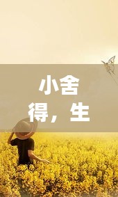 小舍得,生活的智慧与勇气——百度深度解读,探索更多人生启示
